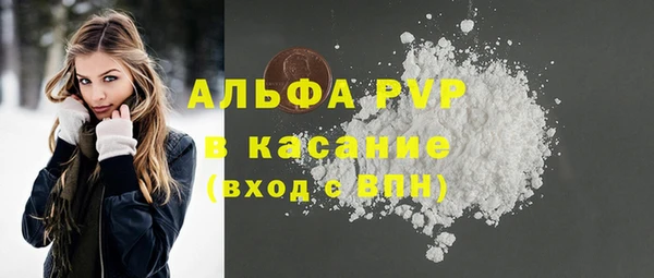 стаф Алексин