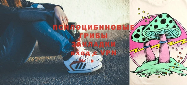 стаф Алексин
