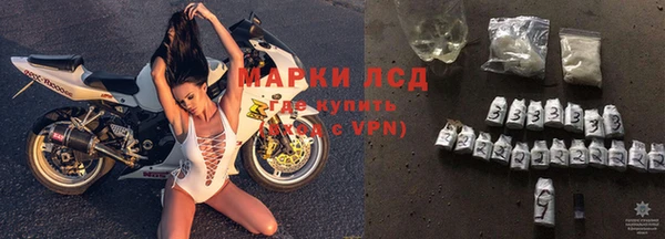 ECSTASY Абаза